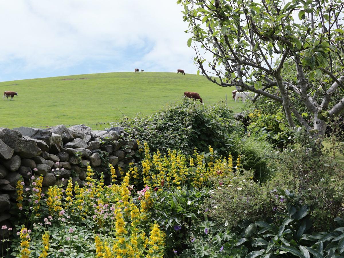 Waingate Cottage Cark ภายนอก รูปภาพ